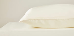 Silk Pillow Case