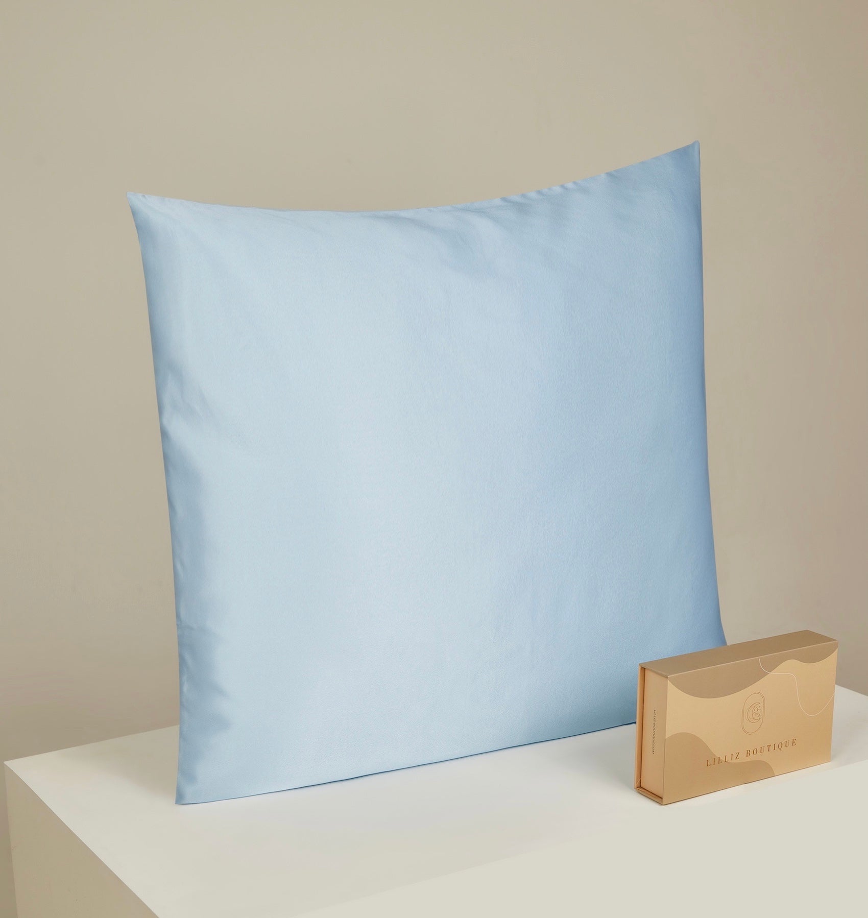 22 Momme Silk Pillowcase - Zip 80x80cm Babyblue