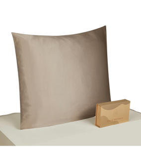 22 Momme Silk Pillowcase - Zip 80x80cm Taupe