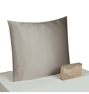 22 Momme Silk Pillowcase - Zip 80x80cm Silvergray